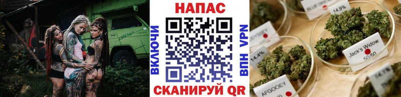 Где купить наркотики Бирюсинск Кетамин МЕФ omg ссылка МЕТАМФЕТАМИН Каннабис A PVP ГАШИШ