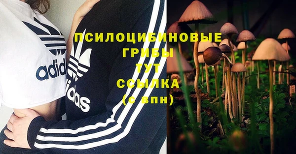спайс Белокуриха