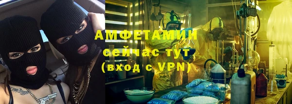 молекула духа Богданович