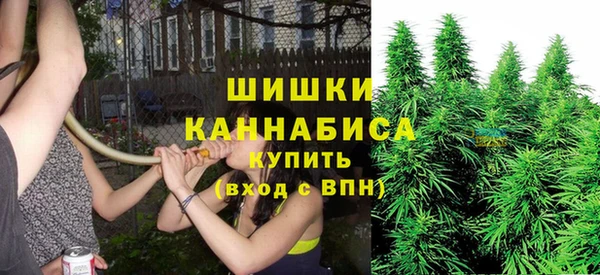 спайс Белокуриха