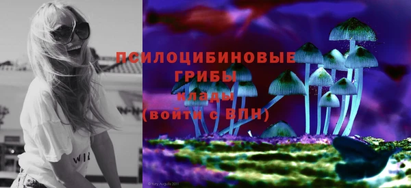 молекула духа Богданович